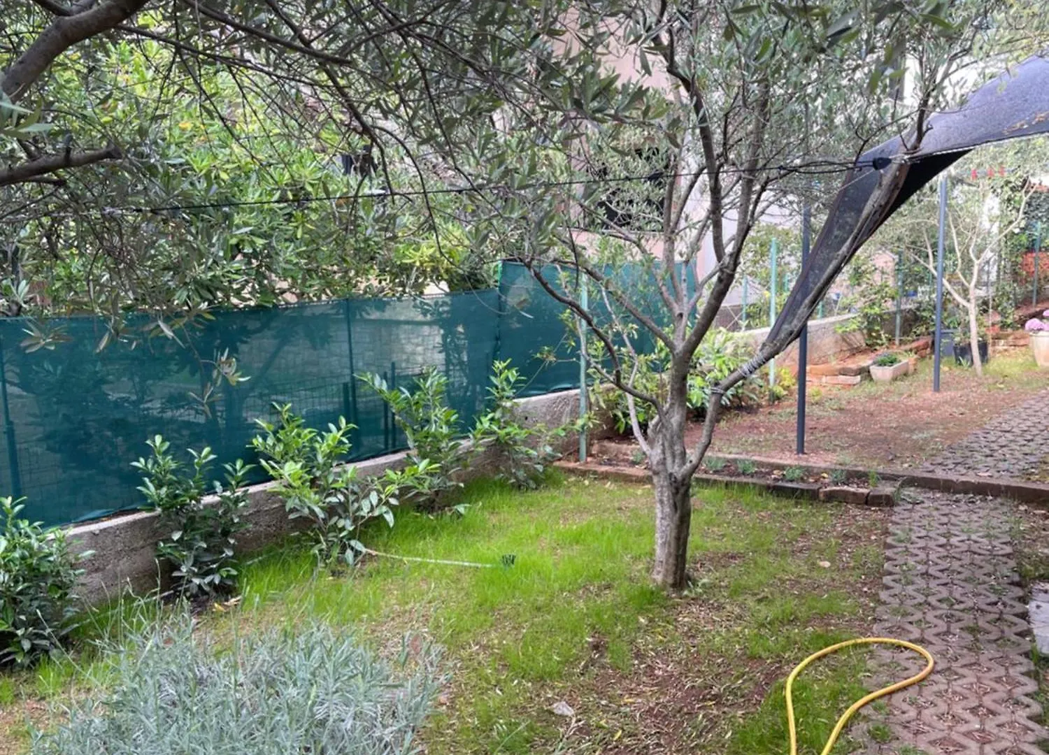 Studio Apartment Laura Punat